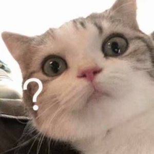 苍井空最好看的黄色电
