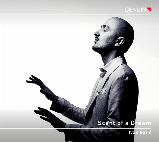 苍井空最好看的黄色电
