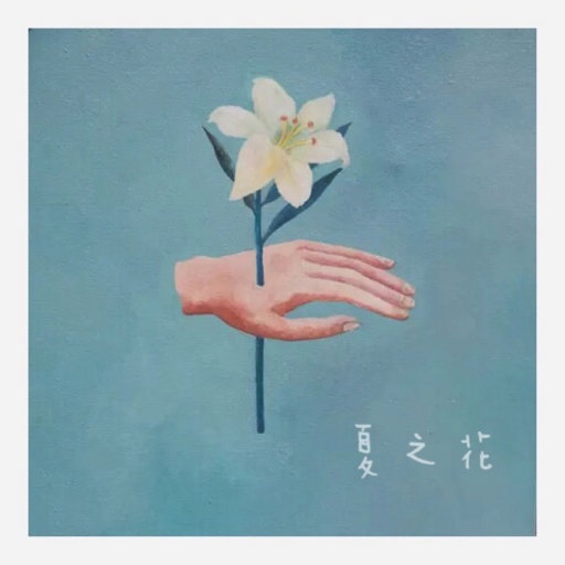 苍井空最好看的黄色电
